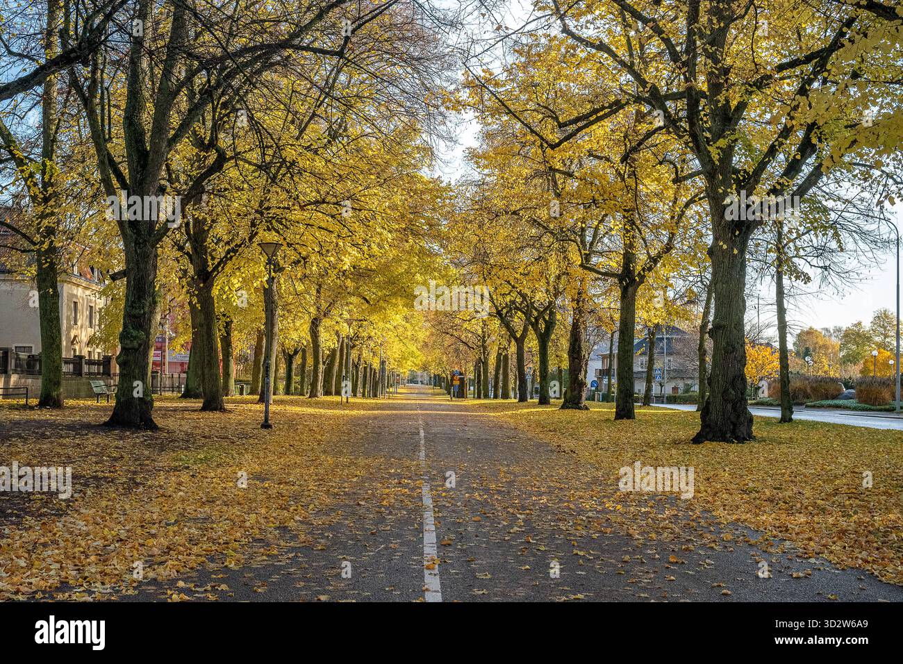 La passeggiata meridionale all'inizio di novembre a Norrköping. Svezia. Le Promenadi di Norrkoping sono state ispirate ai viali di Parigi Foto Stock