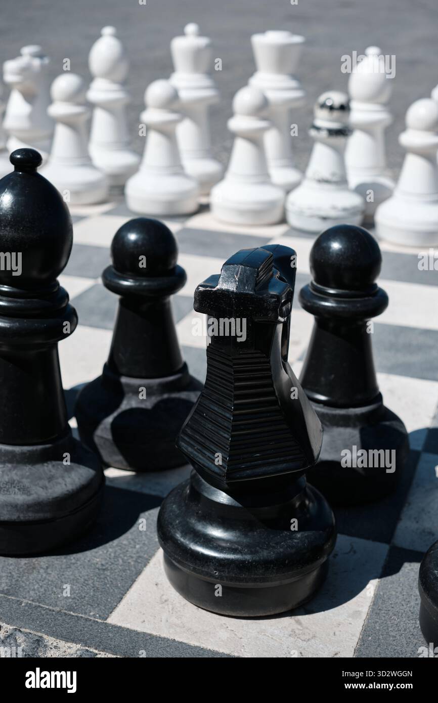 Grandi pezzi di scacchi in bianco e nero su una tavola esterna che simboleggia la competizione e la strategia. Foto Stock