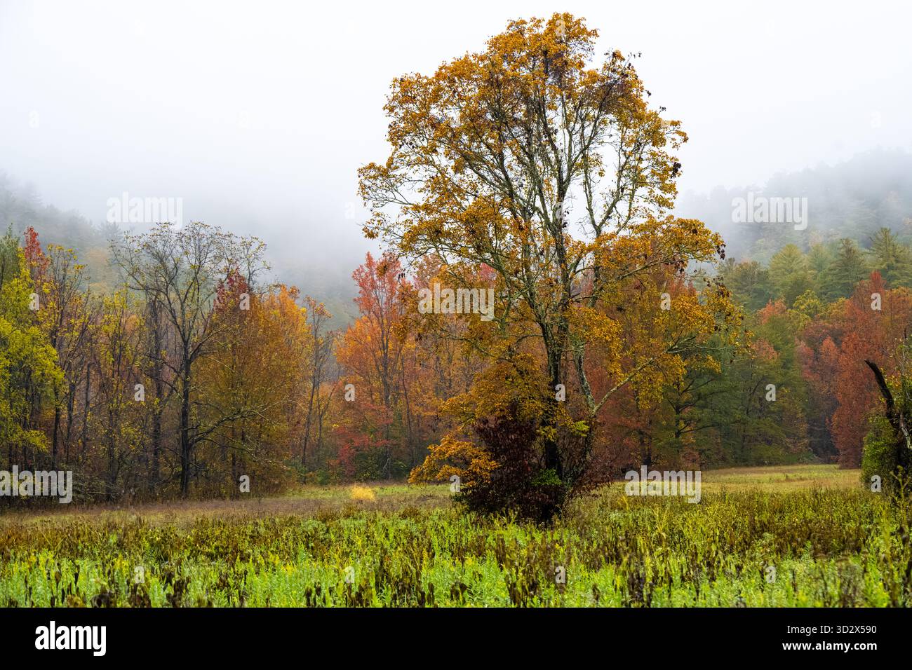 Paesaggio panoramico autunnale a Cades Cove nel Great Smoky Mountains National Park vicino a Townsend, Tennessee. (USA) Foto Stock