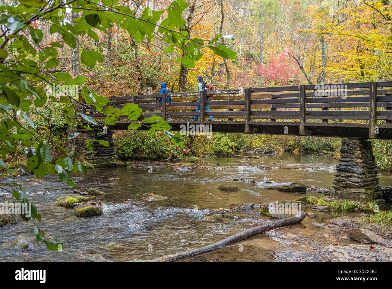 Passerella pedonale per l'Abrams Falls Trail e l'Elijah Oliver Place a Cades Cove nel Great Smoky Mountains National Park in autunno vicino a Townsend, Tennessee. (USA) Foto Stock