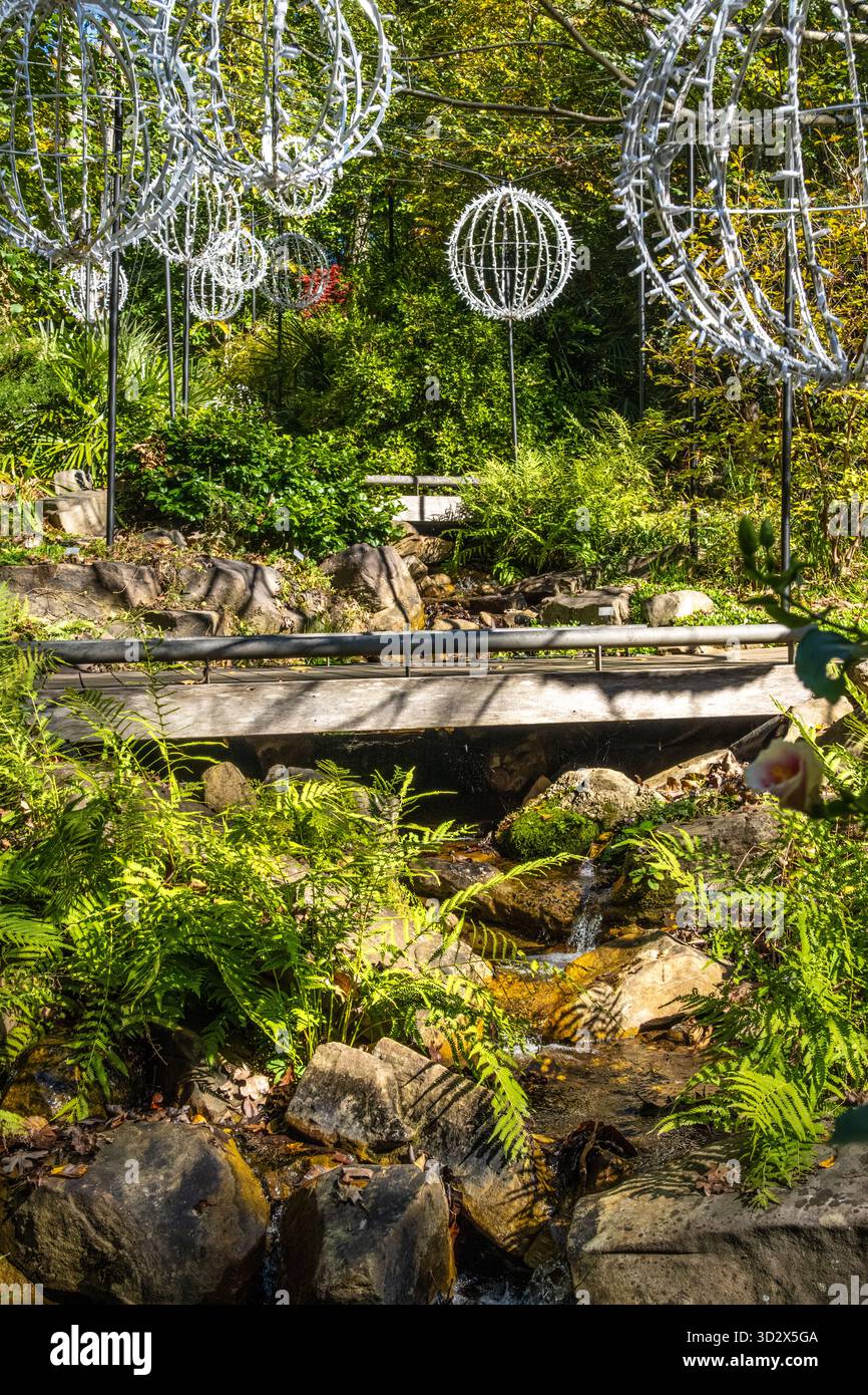 Percorso tortuoso con passerelle su un piccolo ruscello all'Atlanta Botanical Garden di Gainesville, Georgia. (USA) Foto Stock