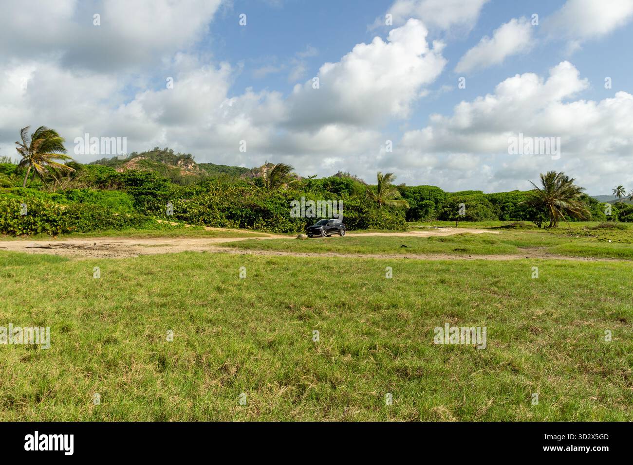 SUV parcheggiato vicino all'estuario di Long Pond alle Barbados, immerso nel verde costiero e nel paesaggio paludoso in un ambiente naturale protetto. Foto Stock