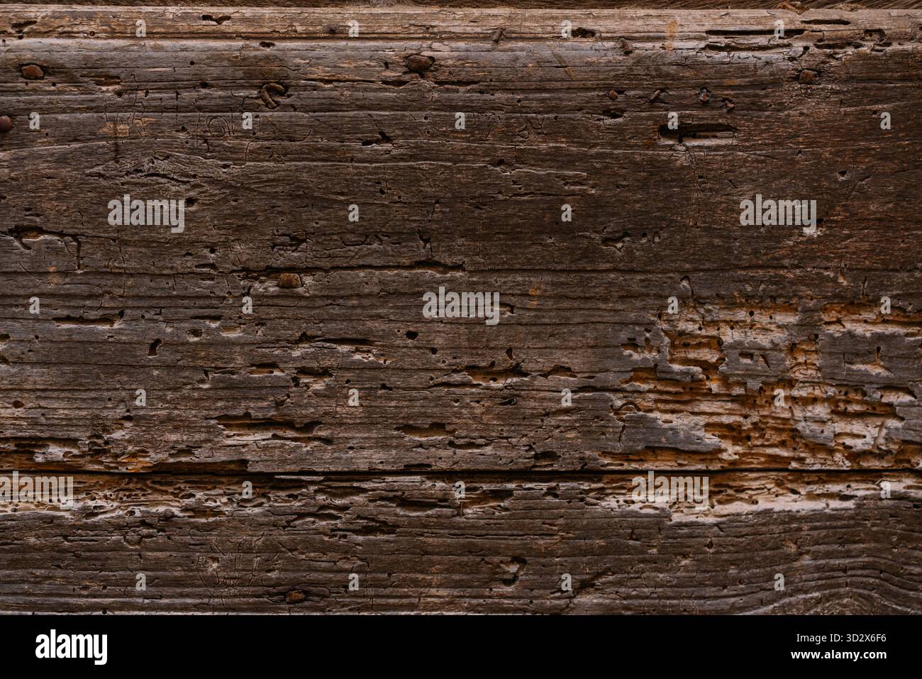 Primo piano di una superficie in legno spaccata e intemprata con ricche linee naturali e motivi organici. Una vista dettagliata del legno invecchiato Foto Stock