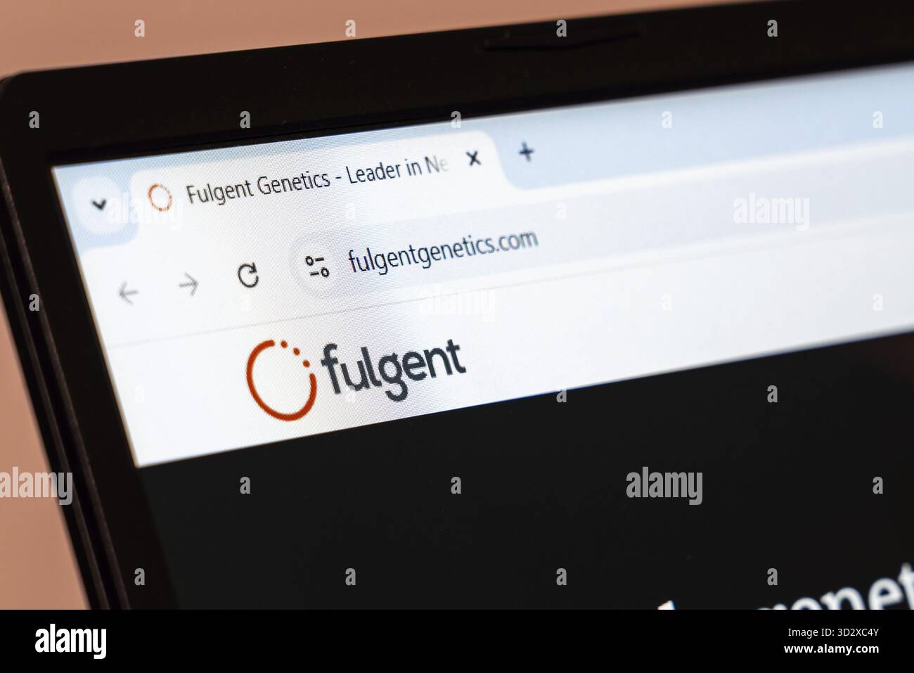 New York, USA - 10 gennaio 2025: Sito Web di Fulgent Genetics che mette in evidenza soluzioni avanzate per test genomici Foto Stock