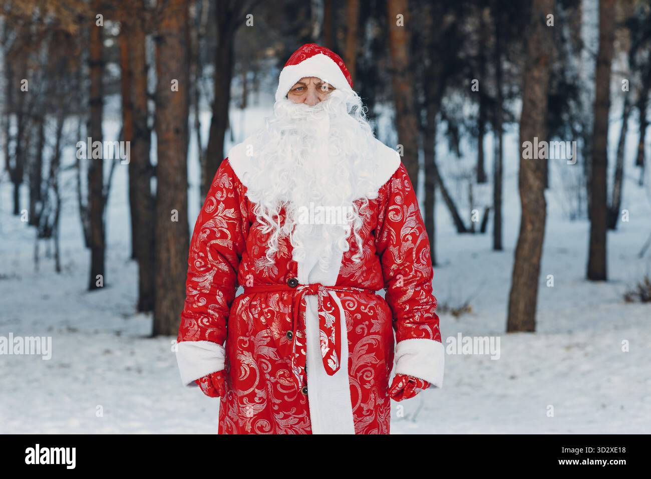 Ded Moroz Father Frost con lunga barba bianca che cammina nella foresta invernale Foto Stock