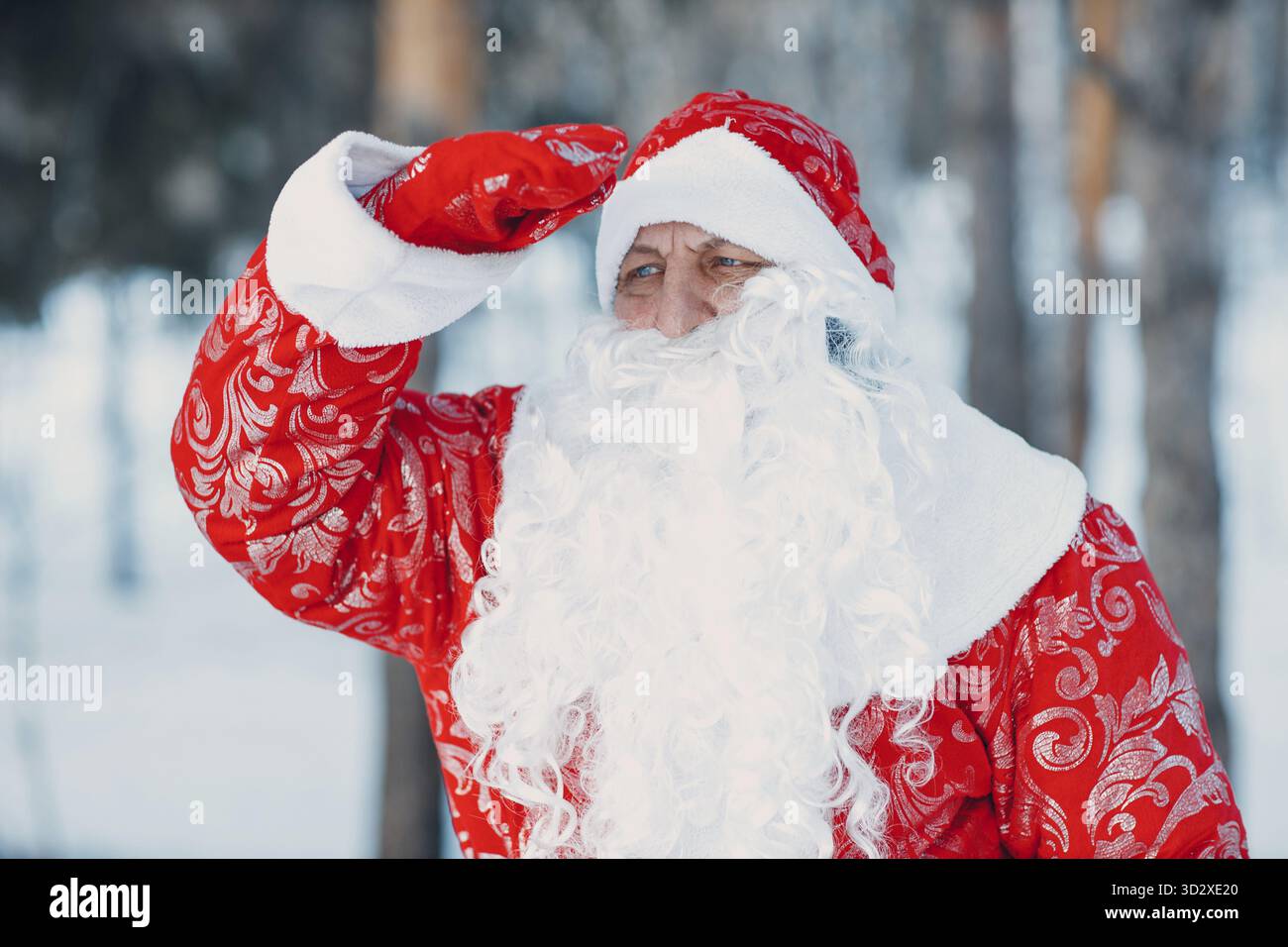 Ded Moroz Father Frost con la lunga barba bianca che guarda avanti nella foresta invernale Foto Stock