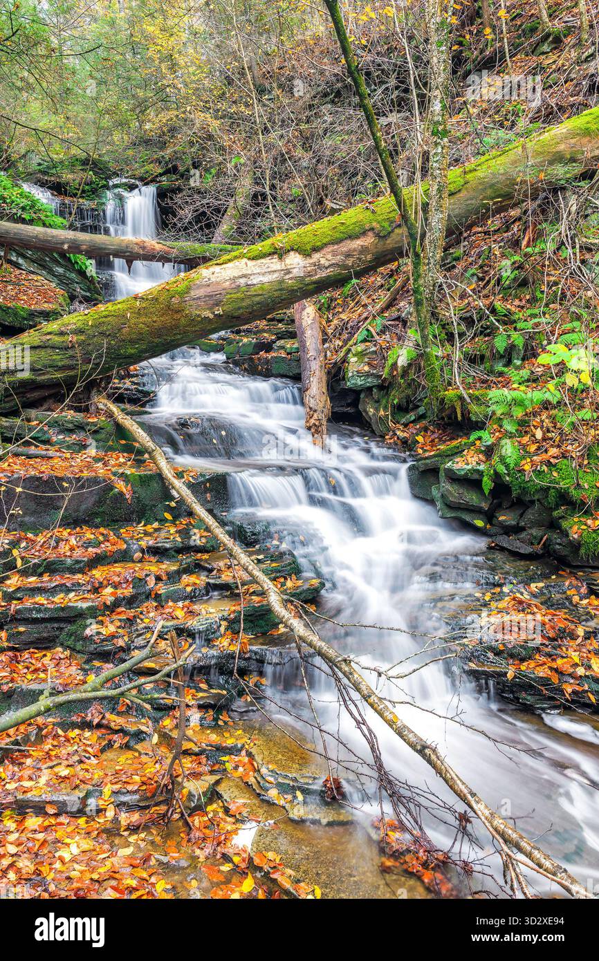 Una cascata non identificata nella sezione Ganoga Glen del Falls Trail al Ricketts Glen State Park. Pennsylvania. STATI UNITI Foto Stock