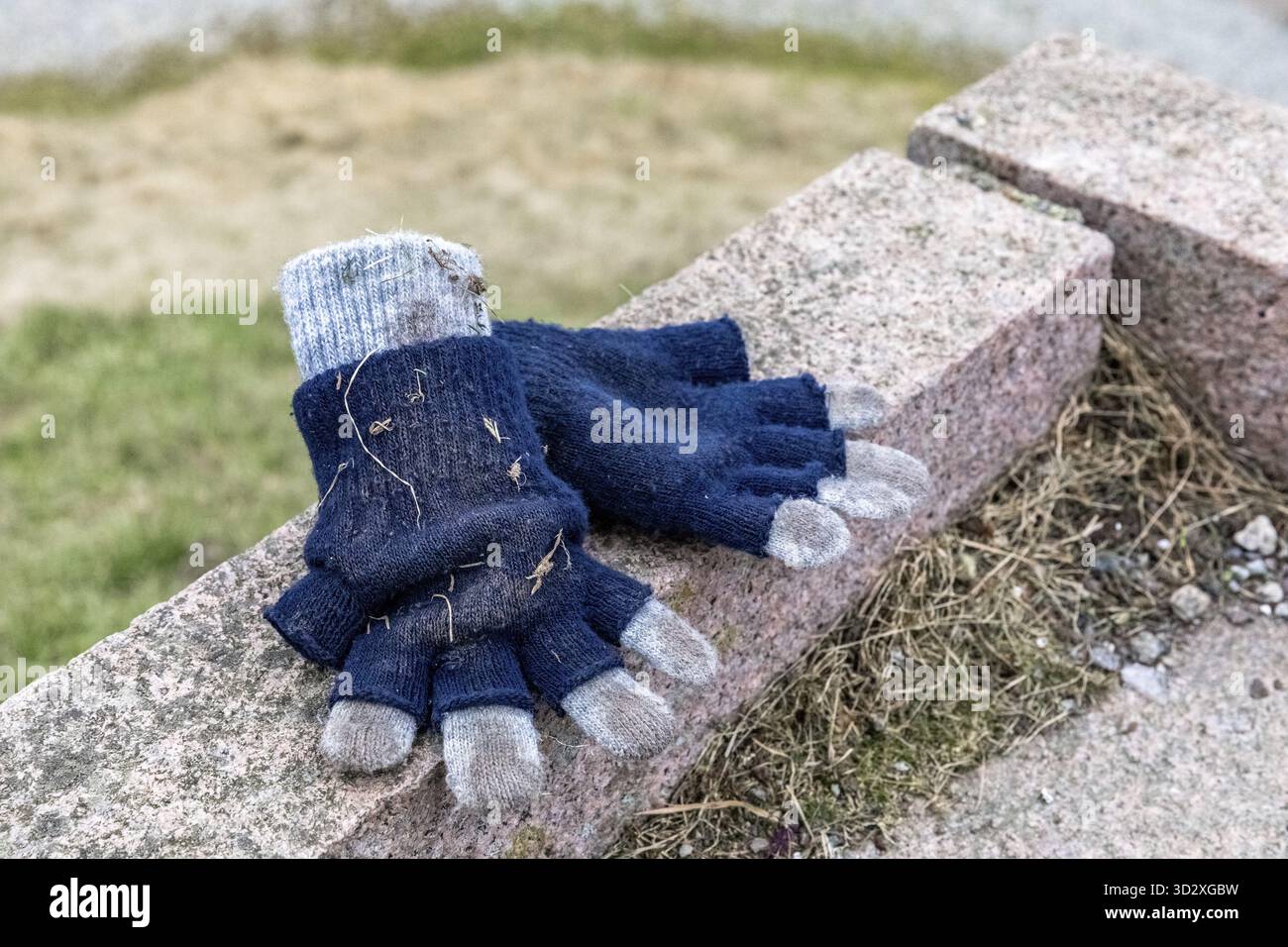 Dimenticato il blu e il colore grigio guanti per bambini che giace su di una pietra in un parco. Haugesund in Norvegia Foto Stock