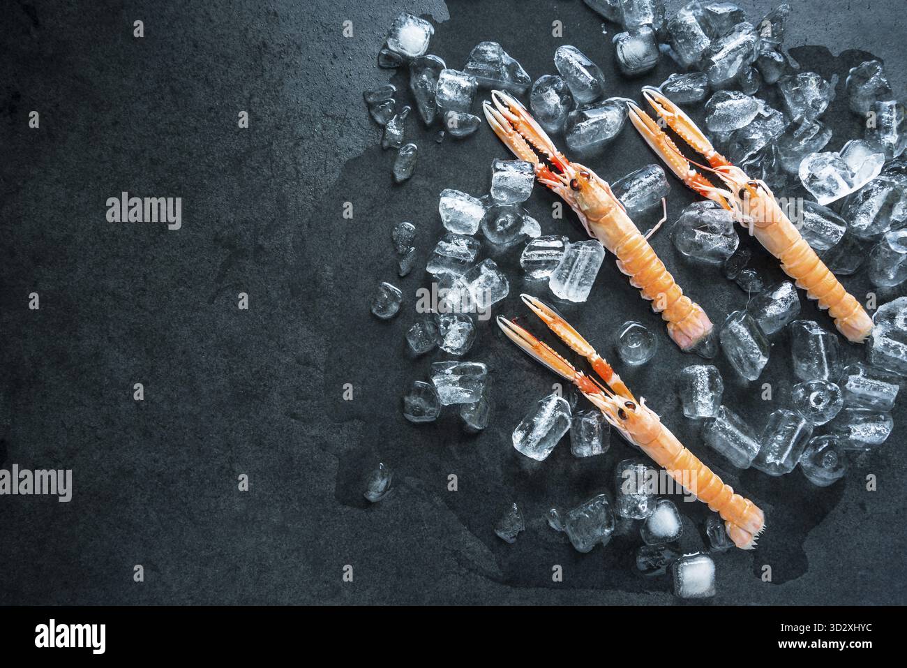 Langoustine fresca su cubetti di ghiaccio, sfondo scuro in ardesia Foto Stock