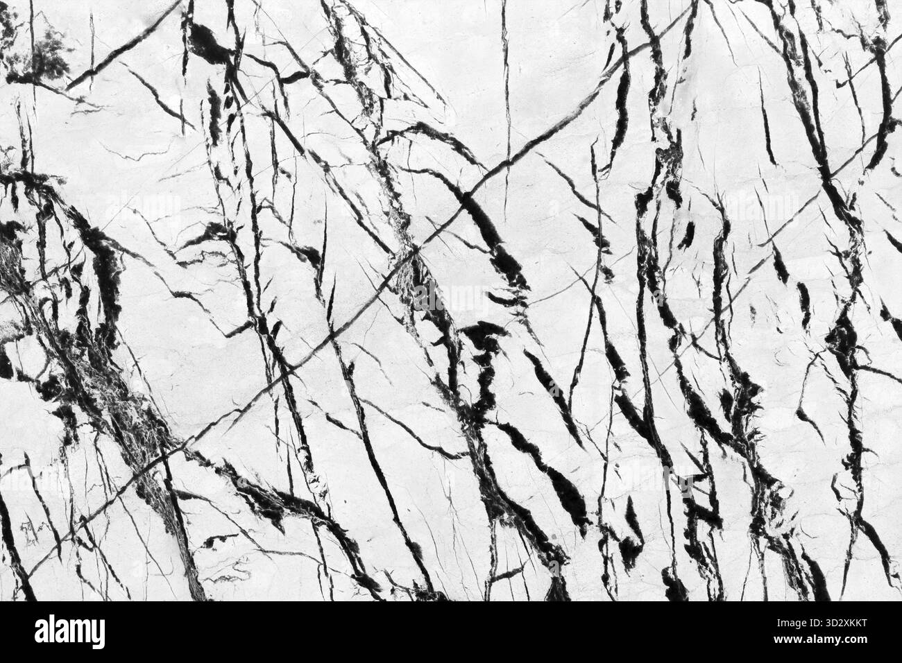 Elegante struttura in marmo bianco e nero con sorprendenti motivi venati. L'elevato contrasto tra le vene scure e lo sfondo chiaro crea un dramma Foto Stock