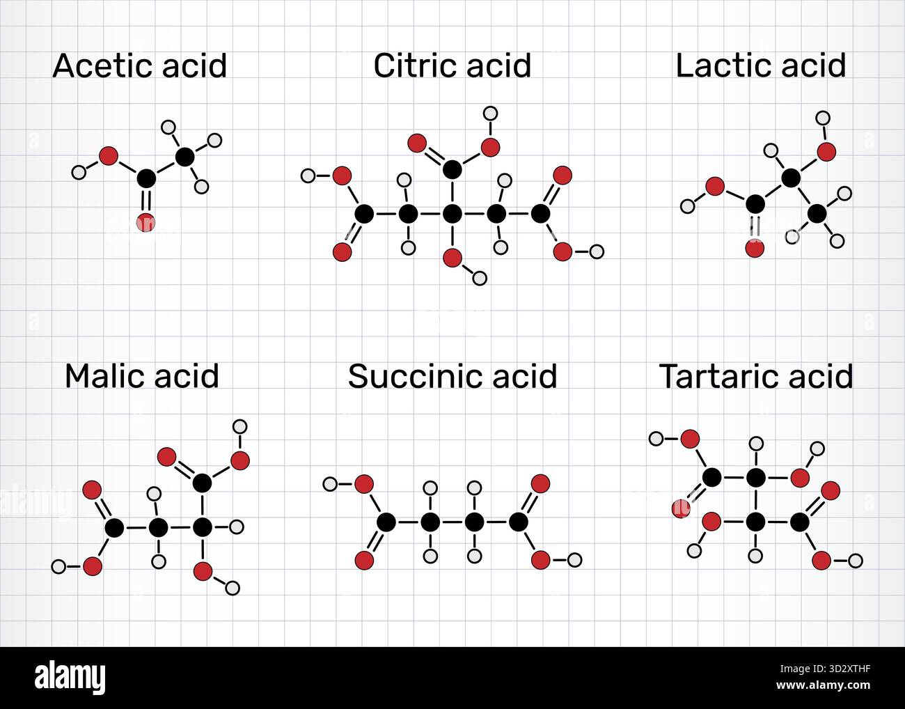 Сommon molecole di acidi alimentari. Acido acetico (E260), acido lattico (E270), acido citrico (E330), acido malico (E296), acido succinico (E363), acido tartarico (E334) Illustrazione Vettoriale