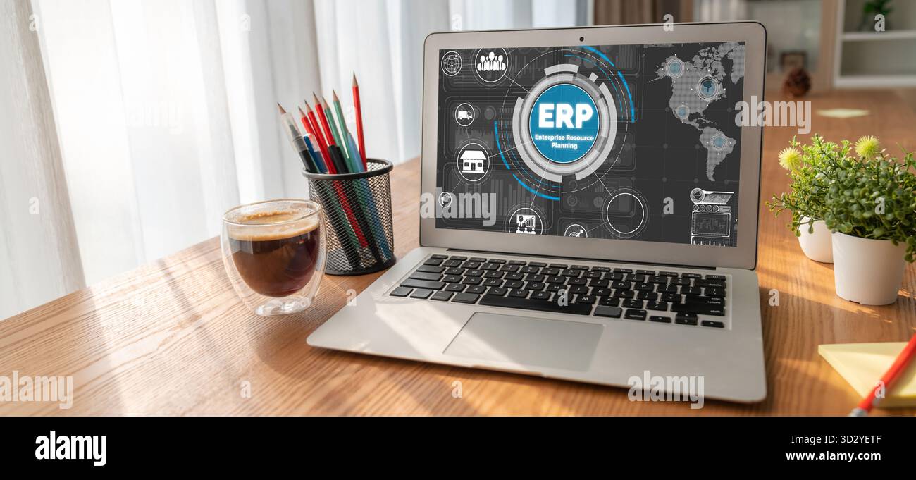 Software ERP per la pianificazione delle risorse aziendali per un'azienda disastra che pianifica la strategia di marketing Foto Stock