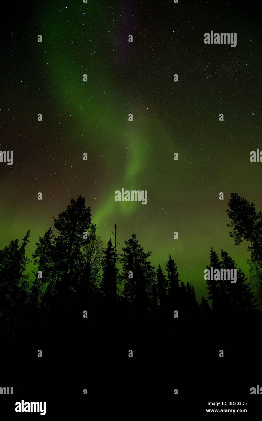 L'aurora boreale e l'aurora boreale si esibiscono durante una notte d'autunno nel nord della Finlandia, in Europa Foto Stock