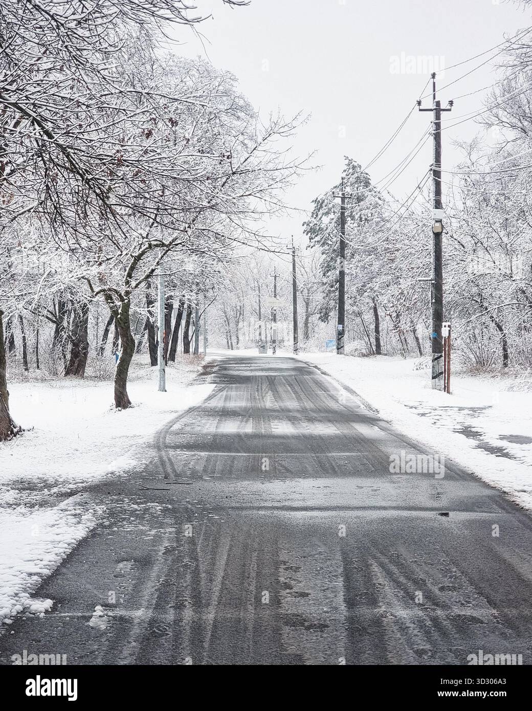 Strada invernale. Riduzione della vista prospettica di una strada attraverso una foresta invernale in una giornata nuvolosa. Alberi innevati e strade ricoperte di ghiaccio. Foto Stock