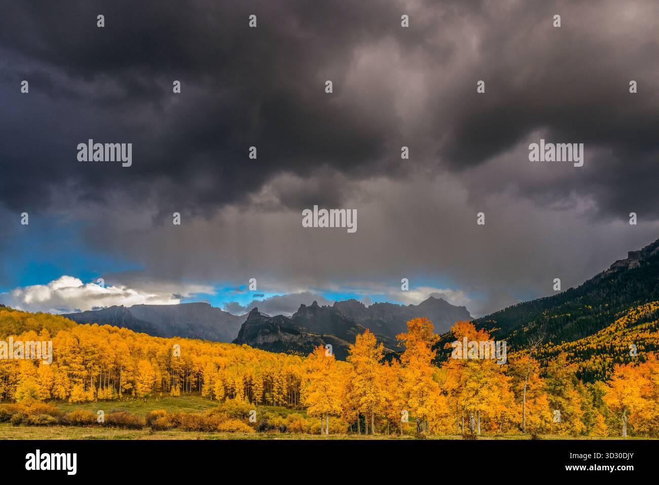 Avvicinando la tempesta, Aspens, Cimarron Ridge, Precipizio picco, Uncompahgre National Forest, Colorado Foto Stock