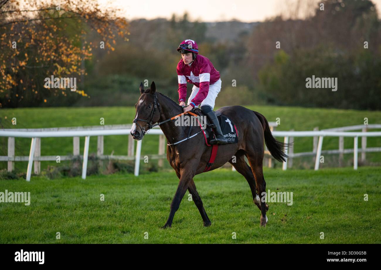 Ballyfad e Mr J M Halford tornano dopo aver vinto l'Eventsec Pro/AM Flat Race a Down Royal sabato 1 novembre 2025. Foto Stock