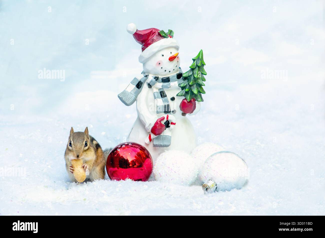 Un simpatico chipmunk affamato sgranocchiava un'arachide con un pupazzo di neve e ornamenti, in questa graziosa scena natalizia Foto Stock