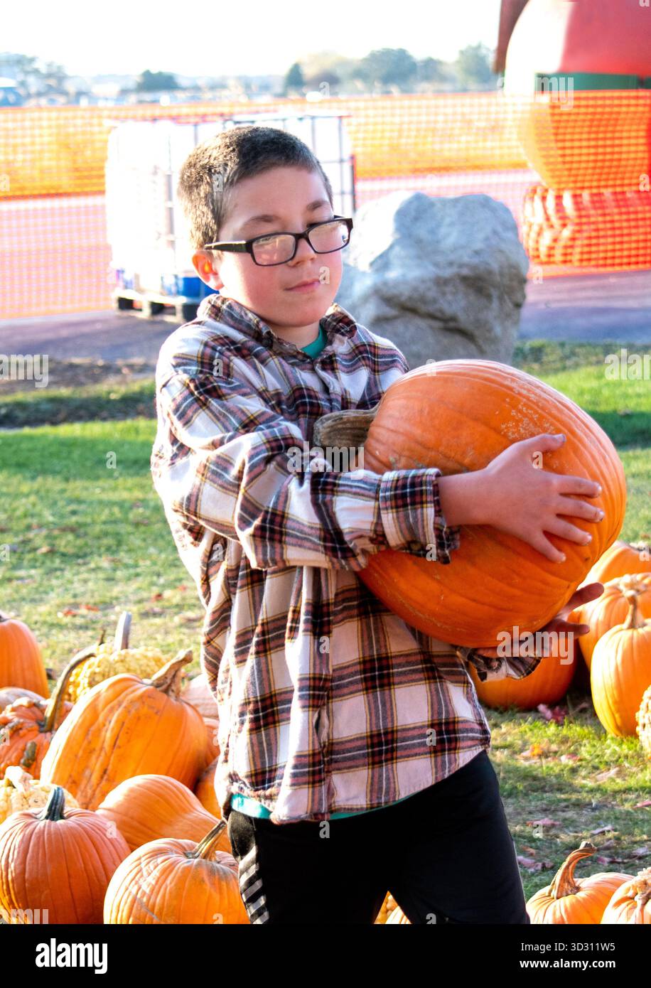 Il bambino più grande porta con sé una grande zucca, pronta a portarla a casa e a intagliare il divertimento di halloween Foto Stock