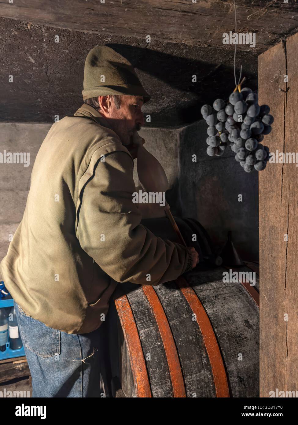 un uomo più anziano sifava un assaggio di vino da una grande botte di legno tradizionale nella cantina della campagna rurale della contea di zala in ungheria Foto Stock