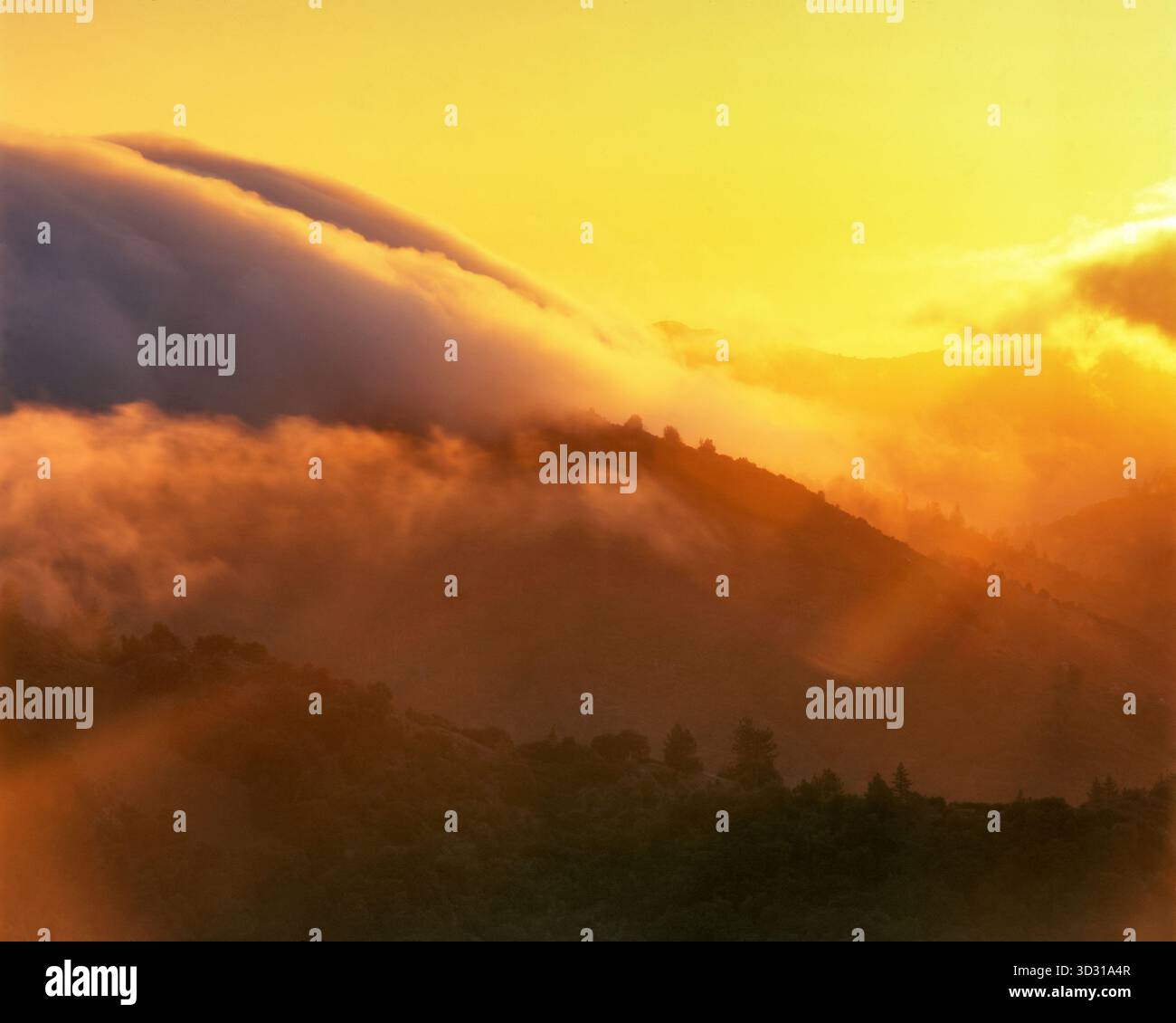 Il tramonto sopra la Chiesa Creek, Ventana deserto, Los Padres National Forest, Big Sur, Monterey County, California Foto Stock