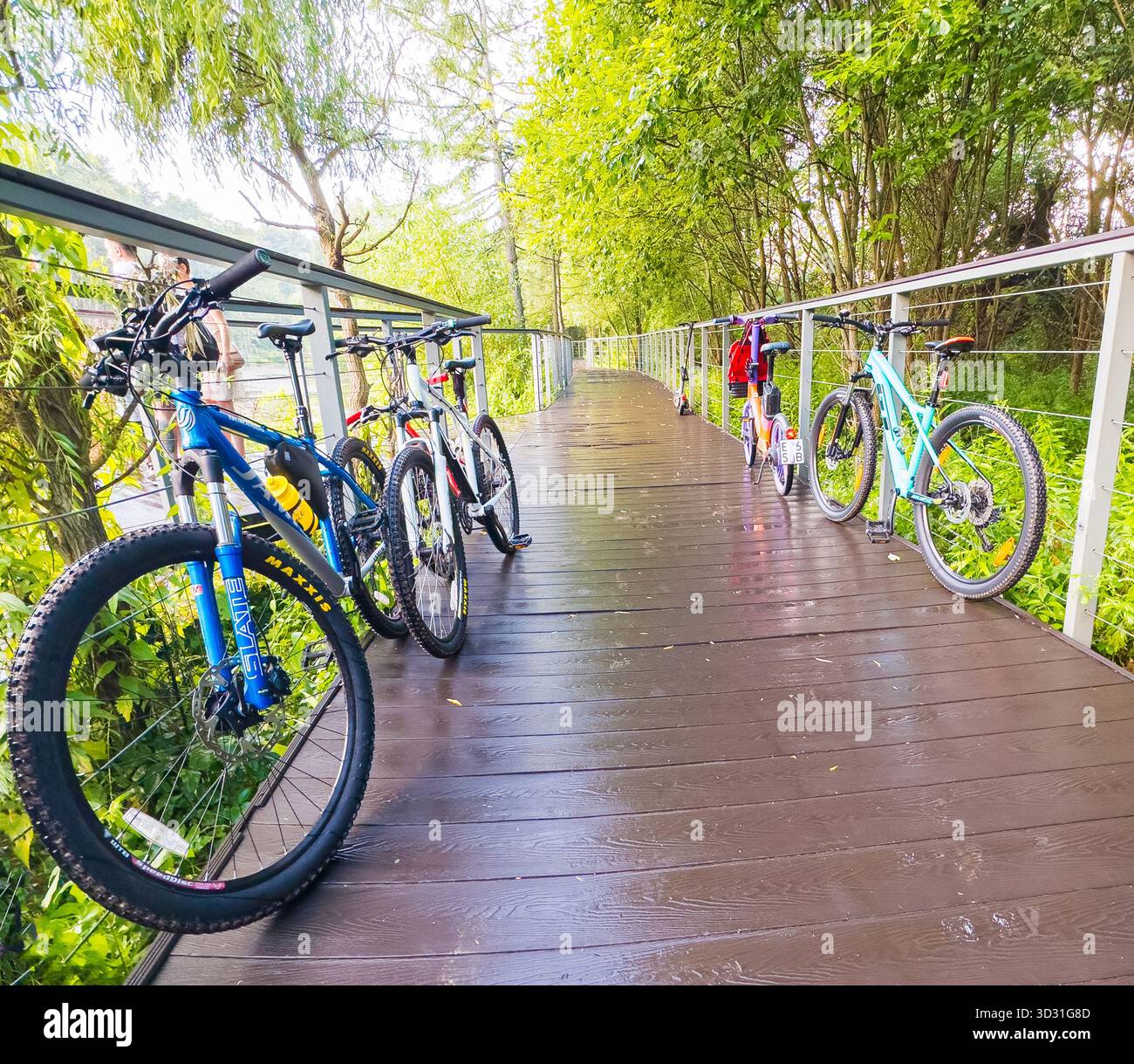 Mountain bike parcheggiate su un sentiero ecologico Foto Stock