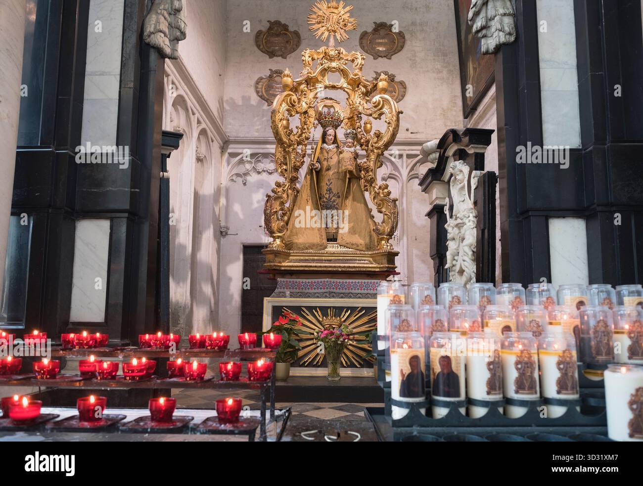 Santuario di nostra Signora del Rosario Cattedrale di San Rumbold Sint-Romboutskathedraal Mechelen Belgio Foto Stock