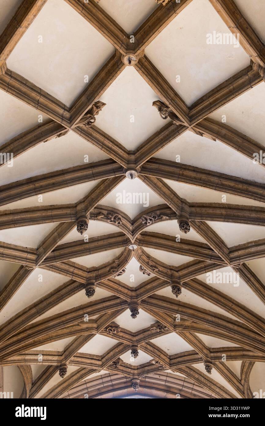 Soffitto decorato Stadhuis Town Hall Mechelen Belgio Foto Stock