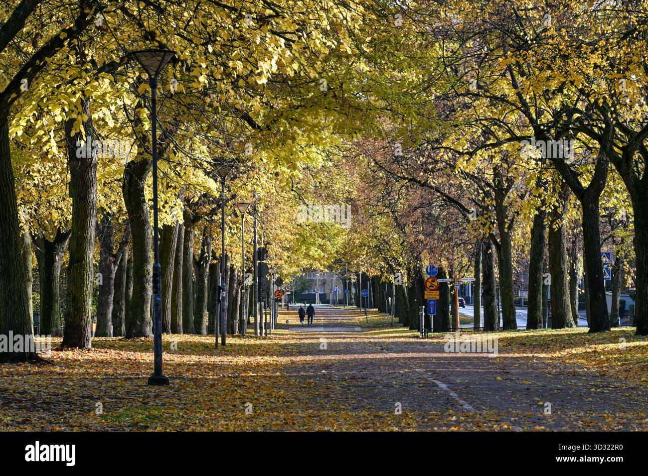 La passeggiata meridionale all'inizio di novembre a Norrköping. Svezia. Le Promenadi di Norrkoping sono state ispirate ai viali di Parigi Foto Stock