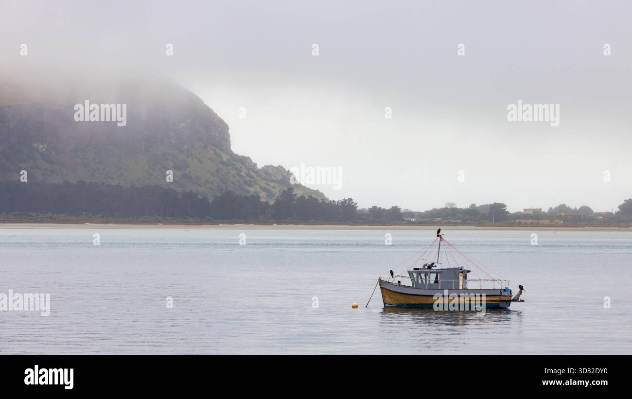 Una piccola barca da pesca sull'acqua, con una costa nebbiosa sullo sfondo. Otago Harbour, nuova Zelanda Foto Stock