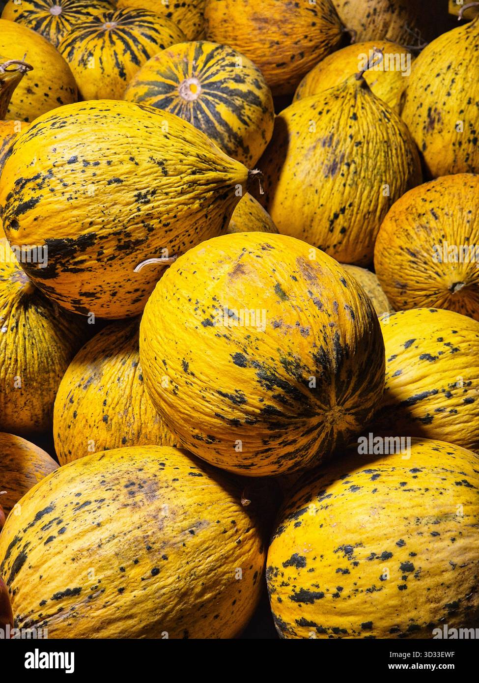 primo piano di un mucchio di meloni o zucche con pelle macchiata giallo-arancione Foto Stock