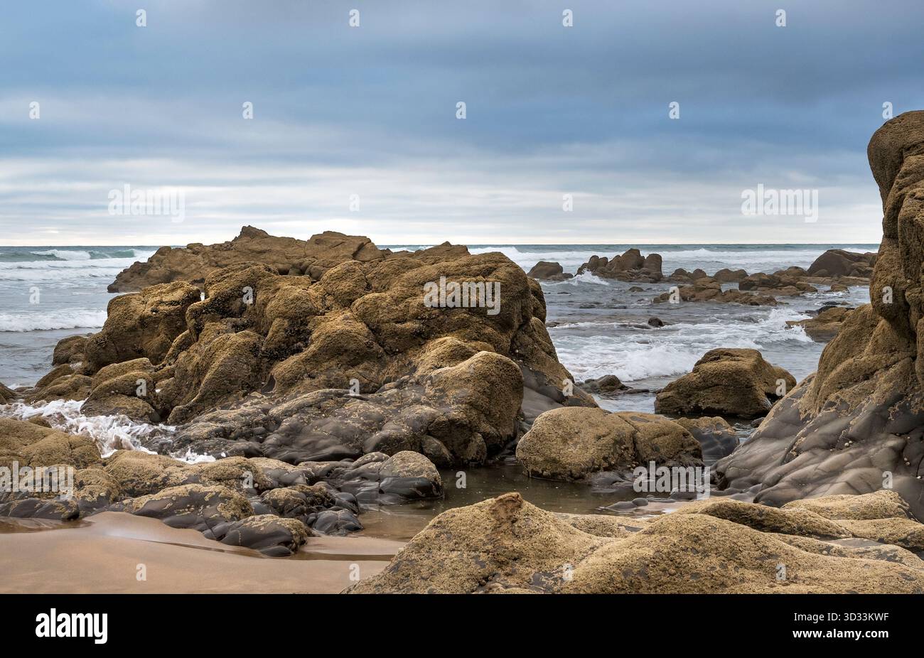 Formazioni rocciose naturali e piene di vita sulla spiaggia di Sandymouth Bay Foto Stock