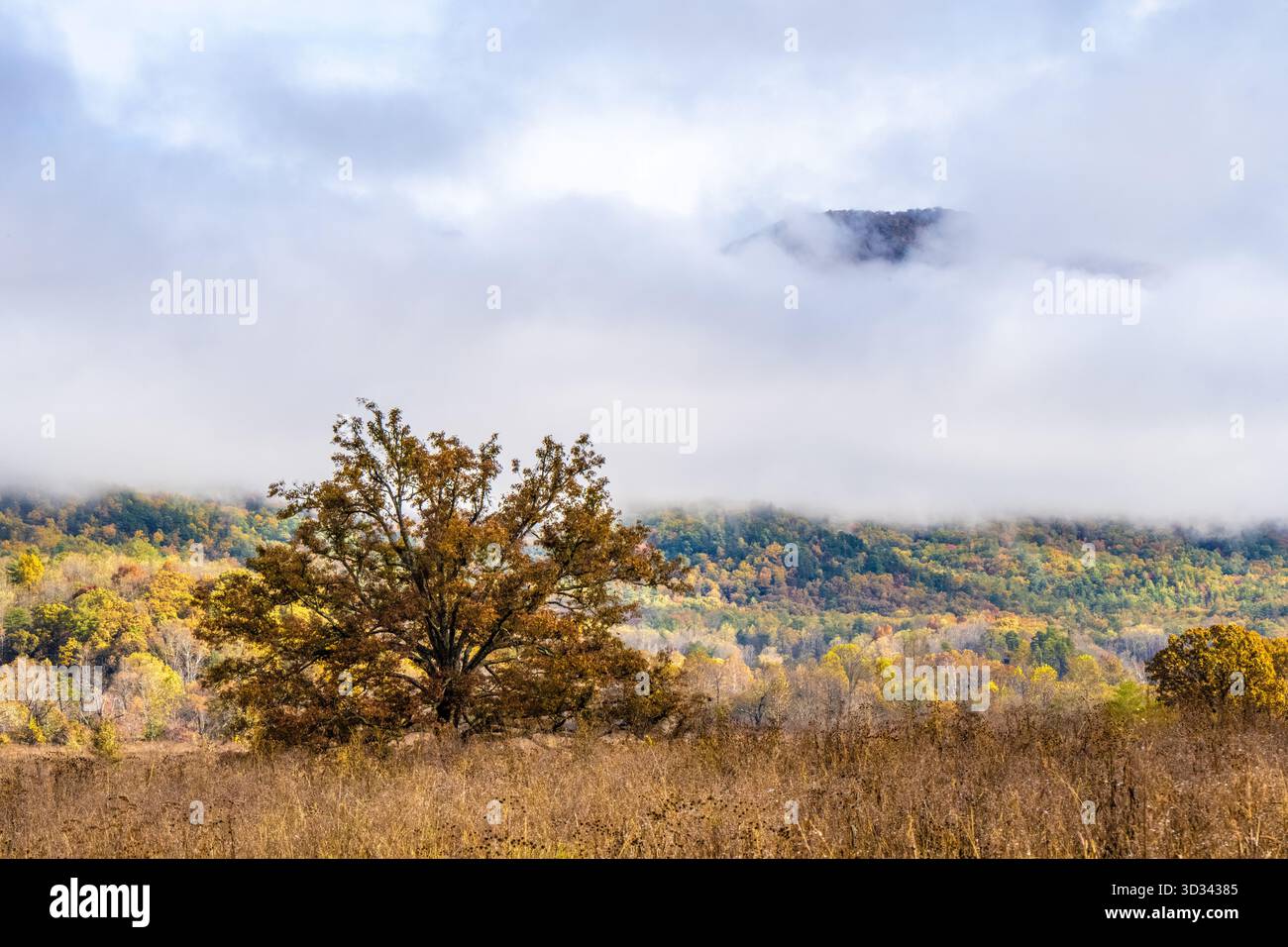 Paesaggio autunnale con montagne coperte di nuvole a Cades Cove nel Parco Nazionale Smoky Mountain vicino a Townsend, Tennessee. (USA) Foto Stock