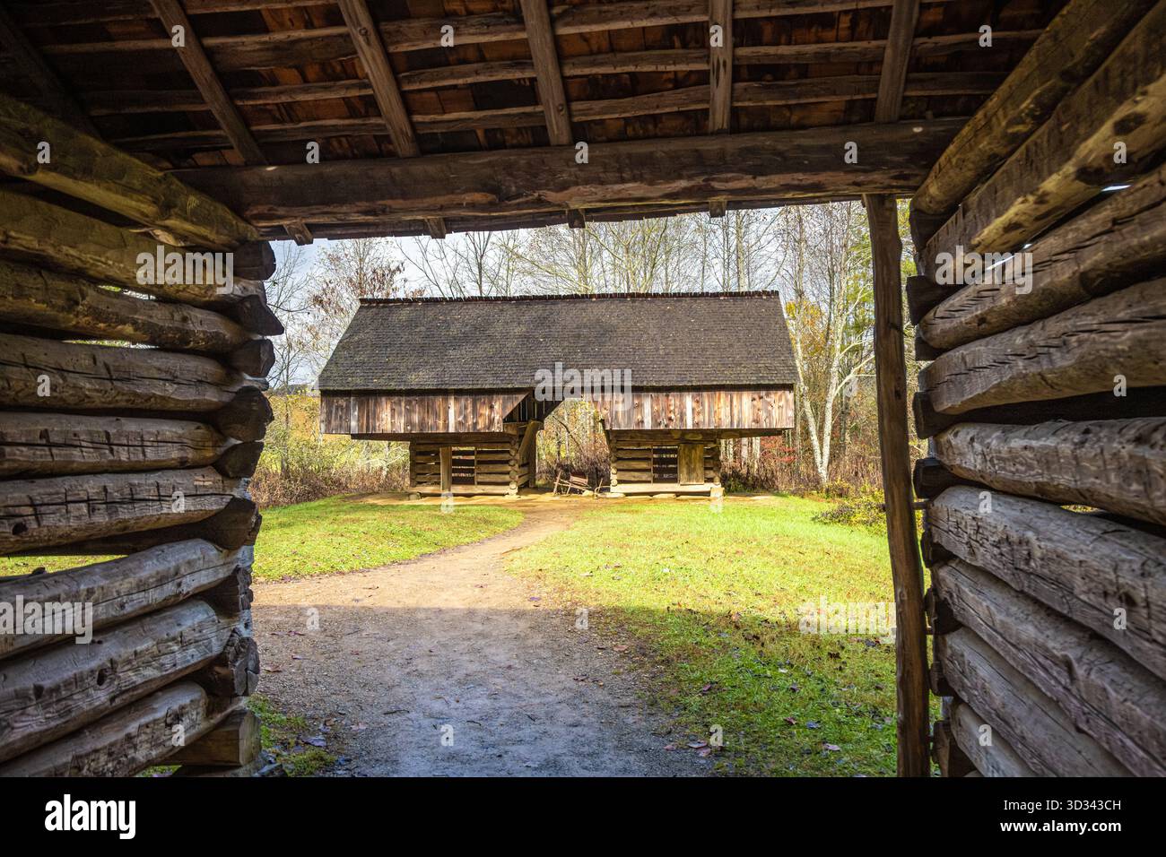 Culla di mais Tipton e fienile a doppio sbalzo a Cades Cove nel Great Smoky Mountains National Park vicino a Townsend, Tennessee. (USA) Foto Stock