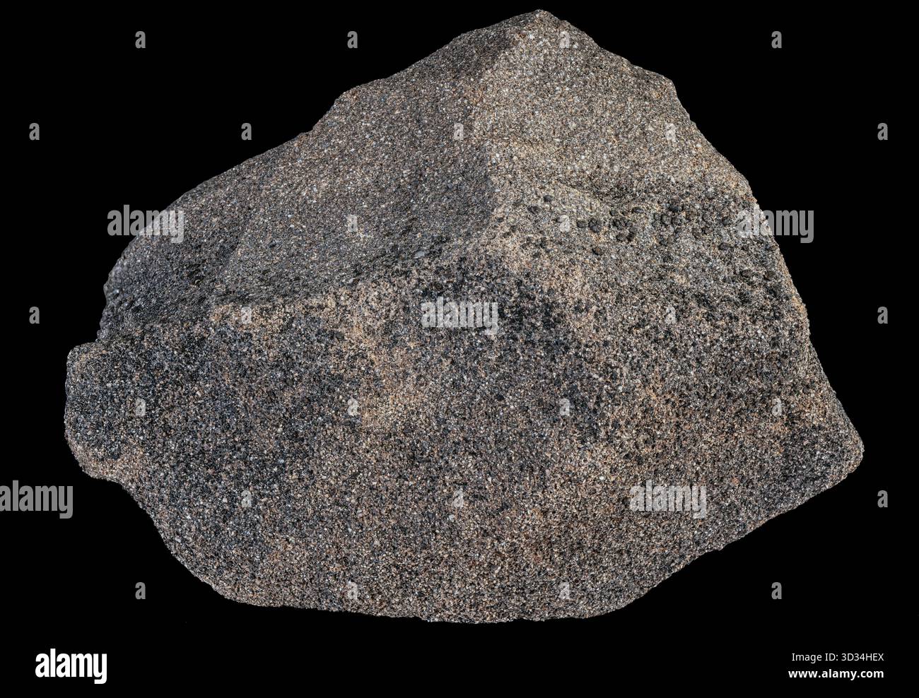 Porfido grigio scuro a grana fine proveniente da Ragged Top, Ironwood Forest National Monument, Arizona. Foto Stock