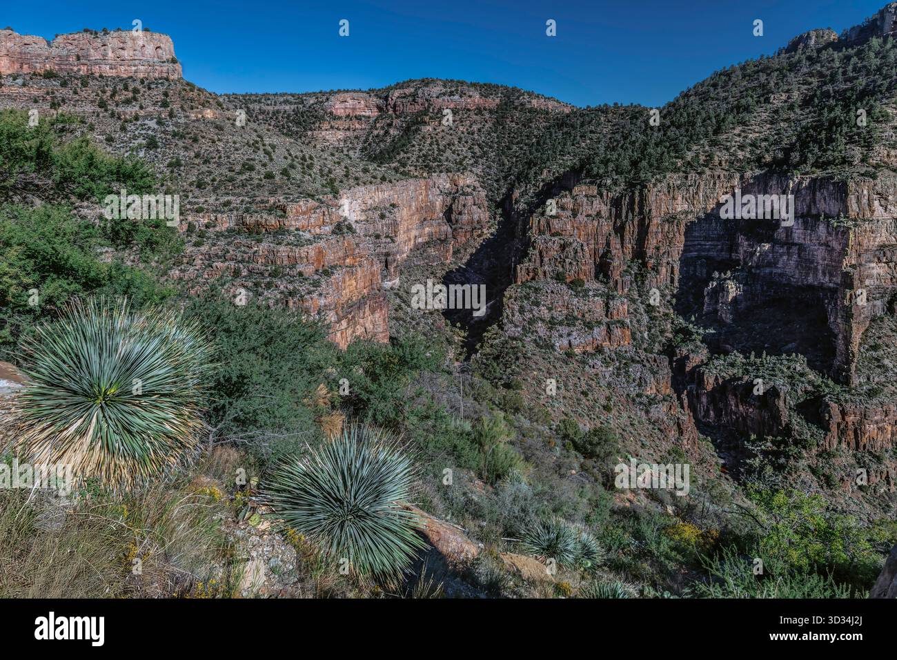 Il Salt River Canyon in Arizona taglia drasticamente gli strati di antiche rocce vulcaniche e sedimentarie, rivelando un paesaggio aspro. Foto Stock