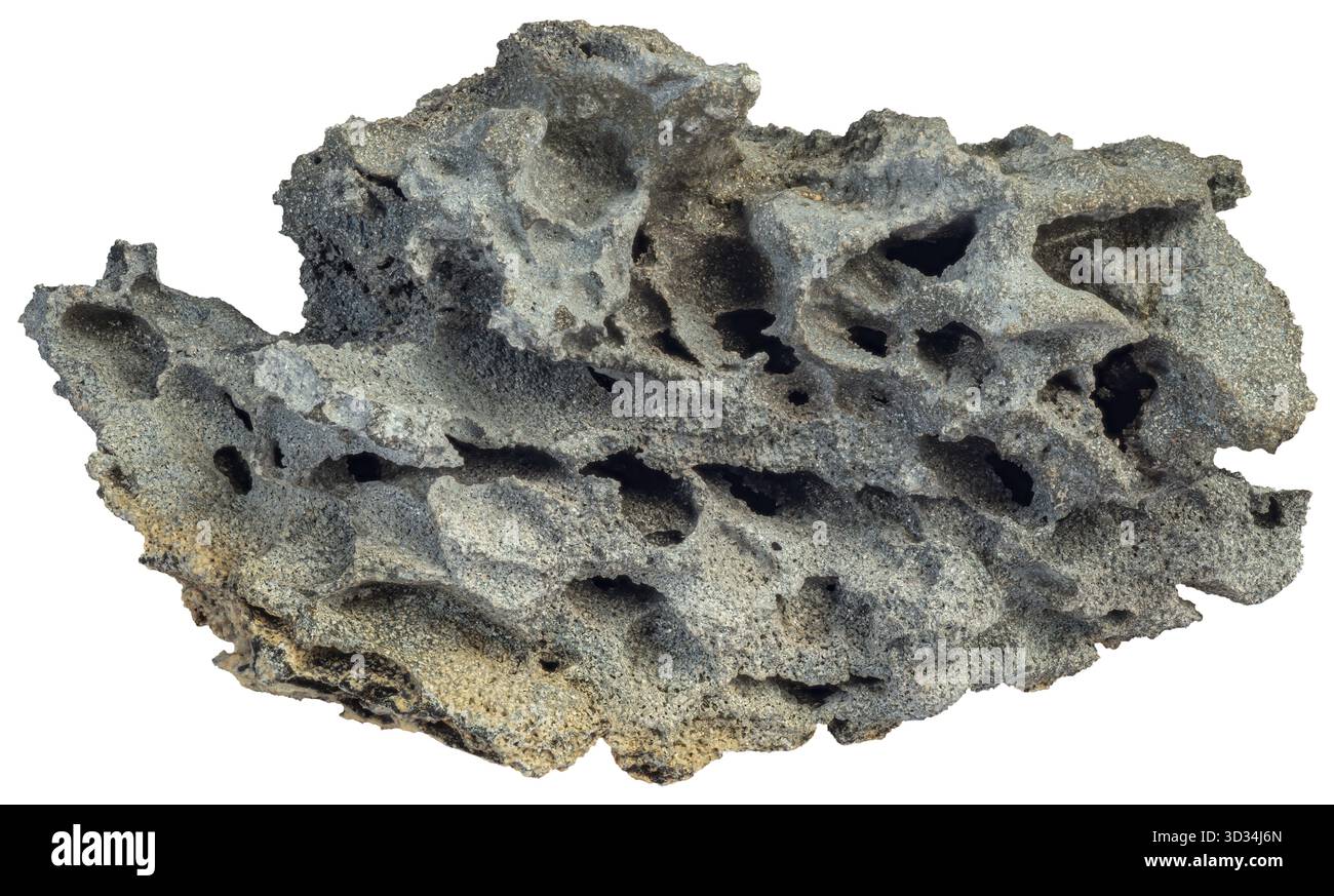 Basalto scoriaceo proveniente dall'Islanda, che mostra un'intricata rete di vescicole formate da gas vulcanici intrappolati durante l'eruzione. Foto Stock