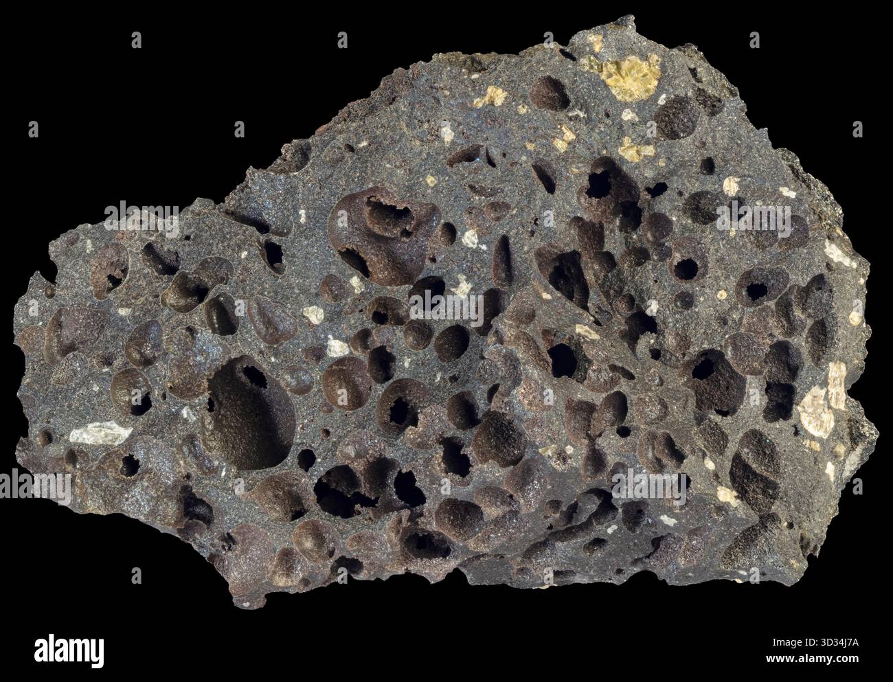 Basalto vescicolare scuro proveniente dall'Islanda, caratterizzato da abbondanti vescicole arrotondate create dalla fuga di gas vulcanici durante l'eruzione. Foto Stock