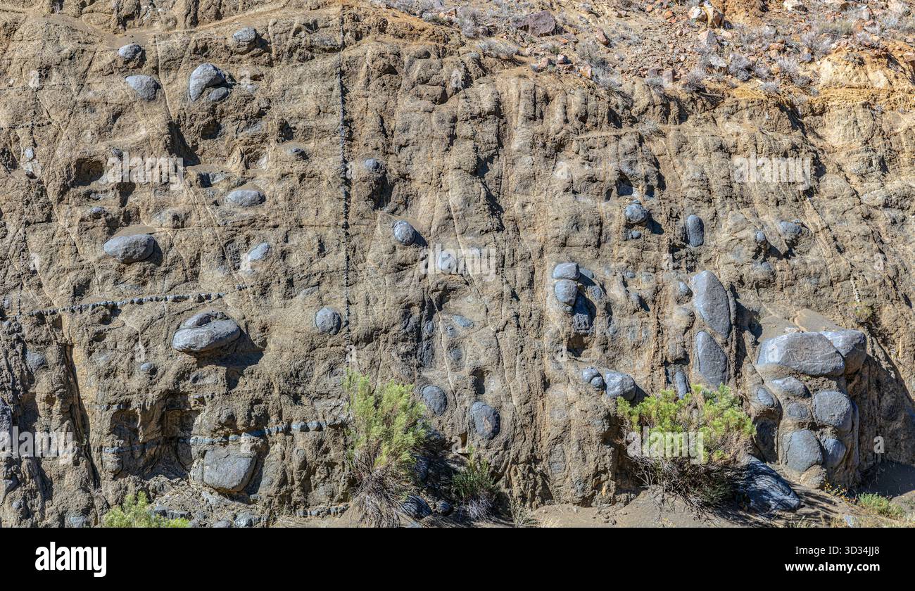Questa esposizione all'interno del Salt River Canyon, Arizona, fornisce un esempio da manuale di conglomerato vulcanico o deposito lahar. Foto Stock