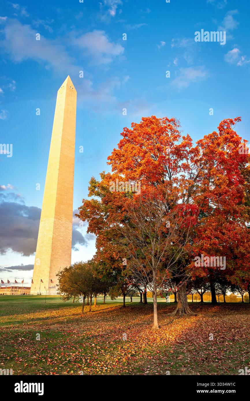 Washington Monument National Mall Washington DC // WASHINGTON DC - il monumento a Washington è raffigurato sul National Mall, circondato da un vivace fogliame autunnale nel tardo pomeriggio. Questo iconico obelisco commemora George Washington, il primo presidente degli Stati Uniti. Alto 555 piedi 1/8 pollici (169,294 metri), è un importante punto di riferimento della capitale della nazione. La costruzione iniziò nel 1848 e fu completata nel 1884. Il monumento è gestito dal National Park Service ed è una caratteristica centrale del National Mall, popolare per le attività ricreative. Foto Stock