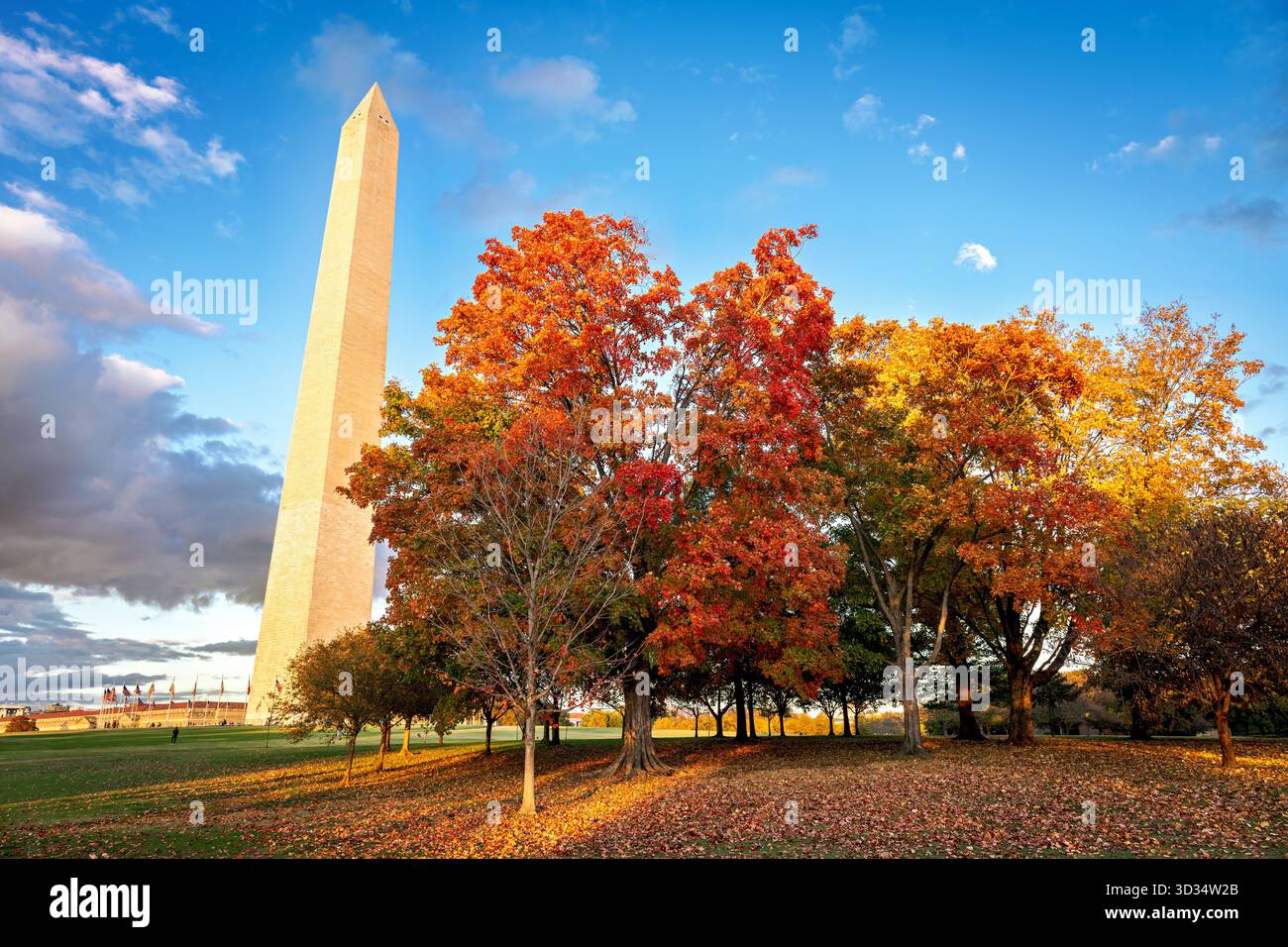 Monumento a Washington con foglie autunnali National Mall Washington DC // WASHINGTON DC - il monumento a Washington è visibile tra il vivace fogliame autunnale del National Mall. Questo iconico obelisco commemora George Washington, il primo presidente degli Stati Uniti. Costruito in marmo, granito e gneiss di pietra blu, è alto 169,294 metri (555 piedi e 1/8 pollici). Il monumento è un importante punto di riferimento all'interno del National Mall, un parco nazionale nel centro di Washington DC. La scena è illuminata dalla calda luce del sole del tardo pomeriggio, poco prima del tramonto, che mette in risalto i colori autunnali. Foto Stock