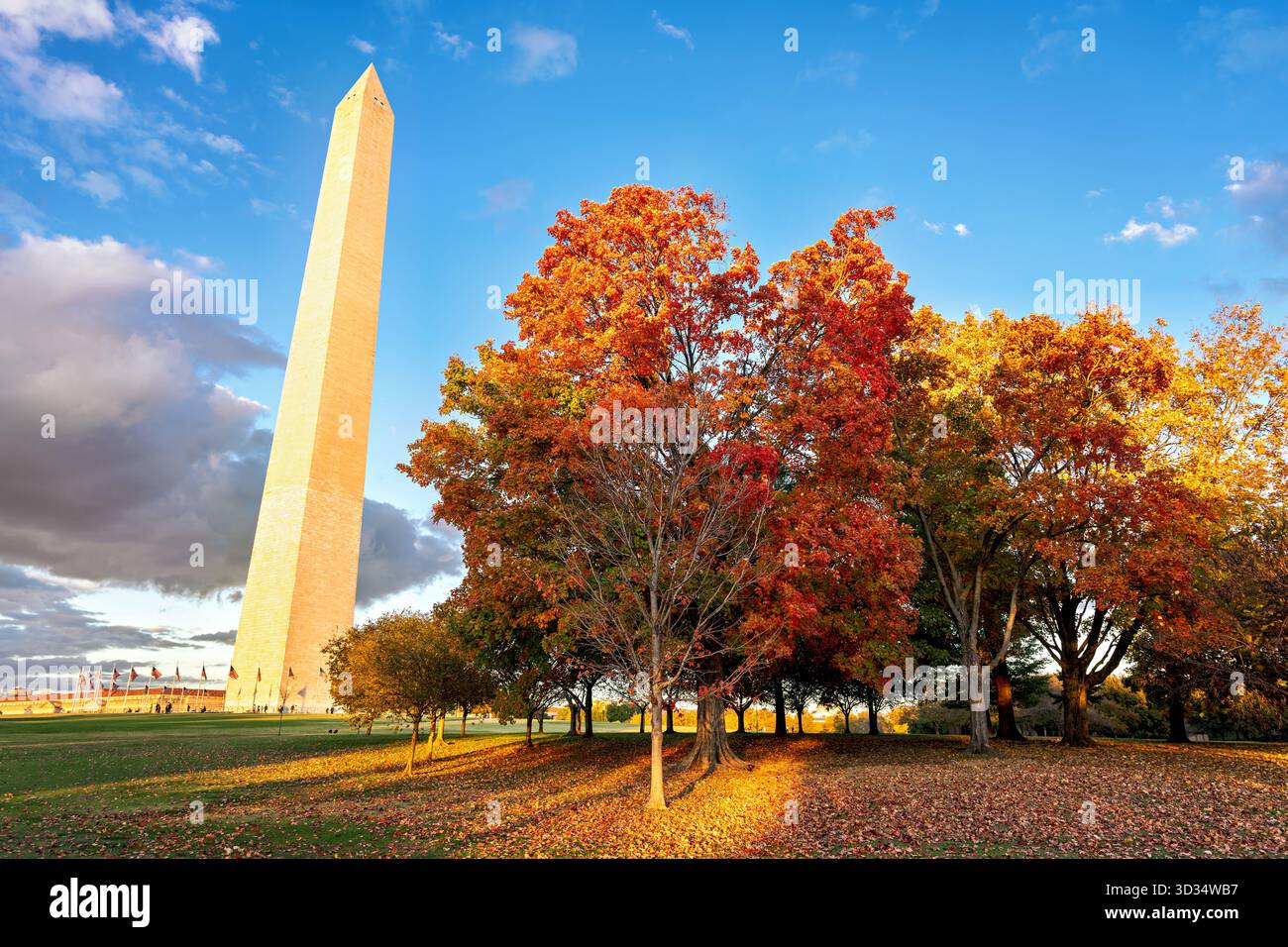 Washington Monument con foglie autunnali National Mall Washington DC // WASHINGTON DC - il Washington Monument, un iconico obelisco sul National Mall, è visibile con un vivace fogliame autunnale nel tardo pomeriggio. Questo importante monumento, alto 169,294 metri (555 piedi), commemora George Washington. Costruito in marmo, granito e gneiss di pietra blu, il monumento fu completato nel 1884. È amministrata dal National Park Service, che gestisce anche il National Mall. Foto Stock