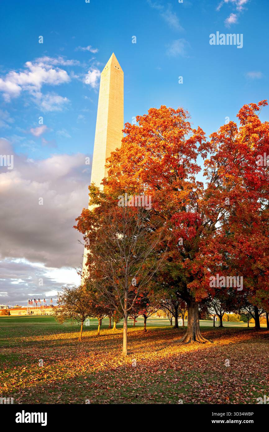 Washington Monument con foglie d'autunno Washington DC // WASHINGTON DC - il Washington Monument sorge sopra un paesaggio di foglie d'autunno colorate sul National Mall. Questo iconico obelisco, costruito per commemorare George Washington, è costruito in marmo, granito e gneiss di pietra blu. Con i suoi 169,29 metri (555 piedi e 1/8 pollici) di altezza, è un punto di riferimento importante nella capitale della nazione. Il monumento è circondato da un ambiente simile a un parco, famoso per le attività ricreative e gli eventi nazionali. Foto Stock