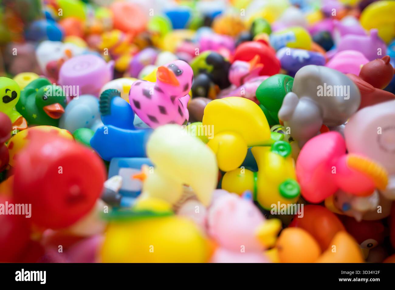 Le anatre di gomma in Claw Machine // Una collezione di anatre di gomma colorate e altri piccoli giocattoli di novità riempie una macchina da gioco con artigli. Questi famosi premi arcade sono disponibili in vari design, motivi e colori vivaci. Tra questi ci sono le classiche anatre gialle, un'anatra rosa con macchie nere e altre figure a forma di animale. Le macchine da gioco CLAW sono una caratteristica comune nelle sale giochi e nei centri di intrattenimento di tutti gli Stati Uniti. Foto Stock