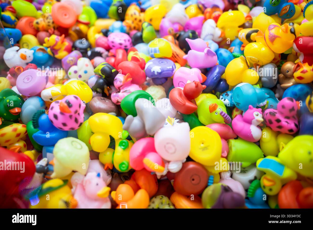 Le anatre di gomma colorate in Claw Machine // le anatre di gomma colorate e dal design unico sono visibili all'interno di una macchina da gioco a artiglio in una sala giochi. Questi nuovi giocattoli in gomma, che sono disponibili in varie forme, motivi e tonalità, sono premi comuni in questi giochi di divertimento. I Caw Machines sono una forma di intrattenimento popolare che si trova nelle sale giochi, che sfida i giocatori a recuperare oggetti con un artiglio meccanico. Foto Stock