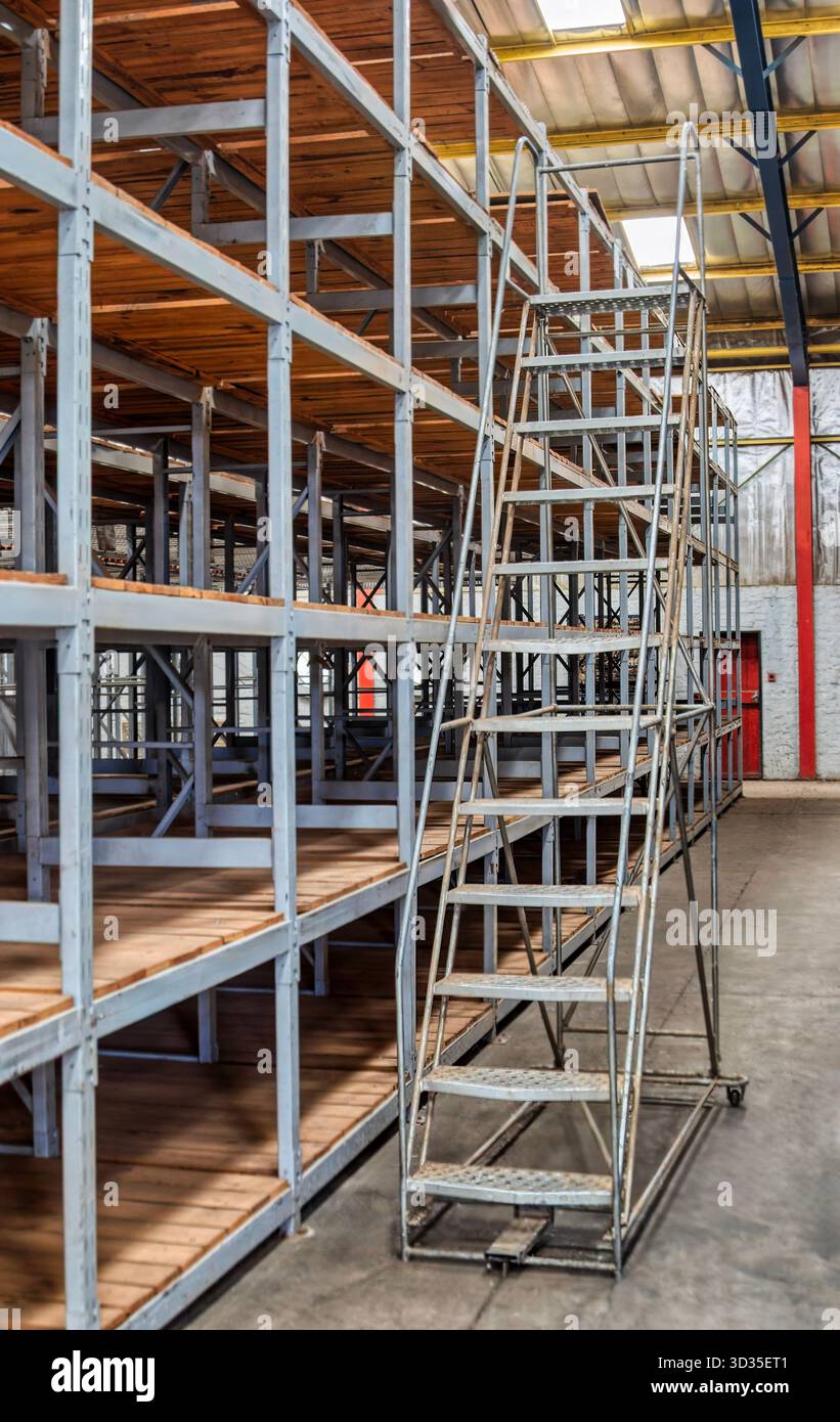 scala mobile in un magazzino, scaffali industriali, impieghi gravosi, non svuotare nessuno Foto Stock