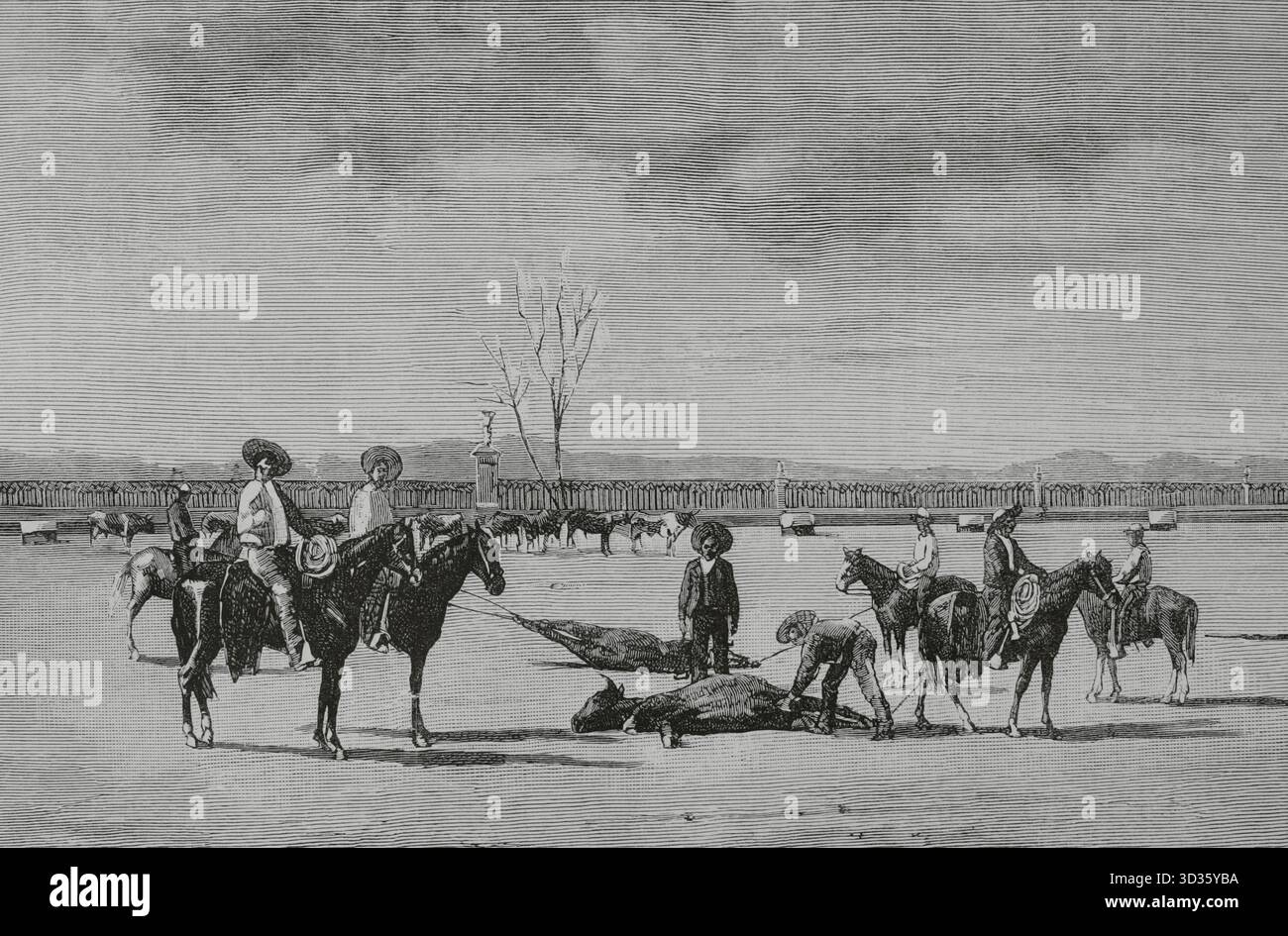 Messico. Castrazione di vitelli in un ranch. Incisione. The Spanish and American Illustration (la Ilustracion Espanola y americana), 1884. Foto Stock