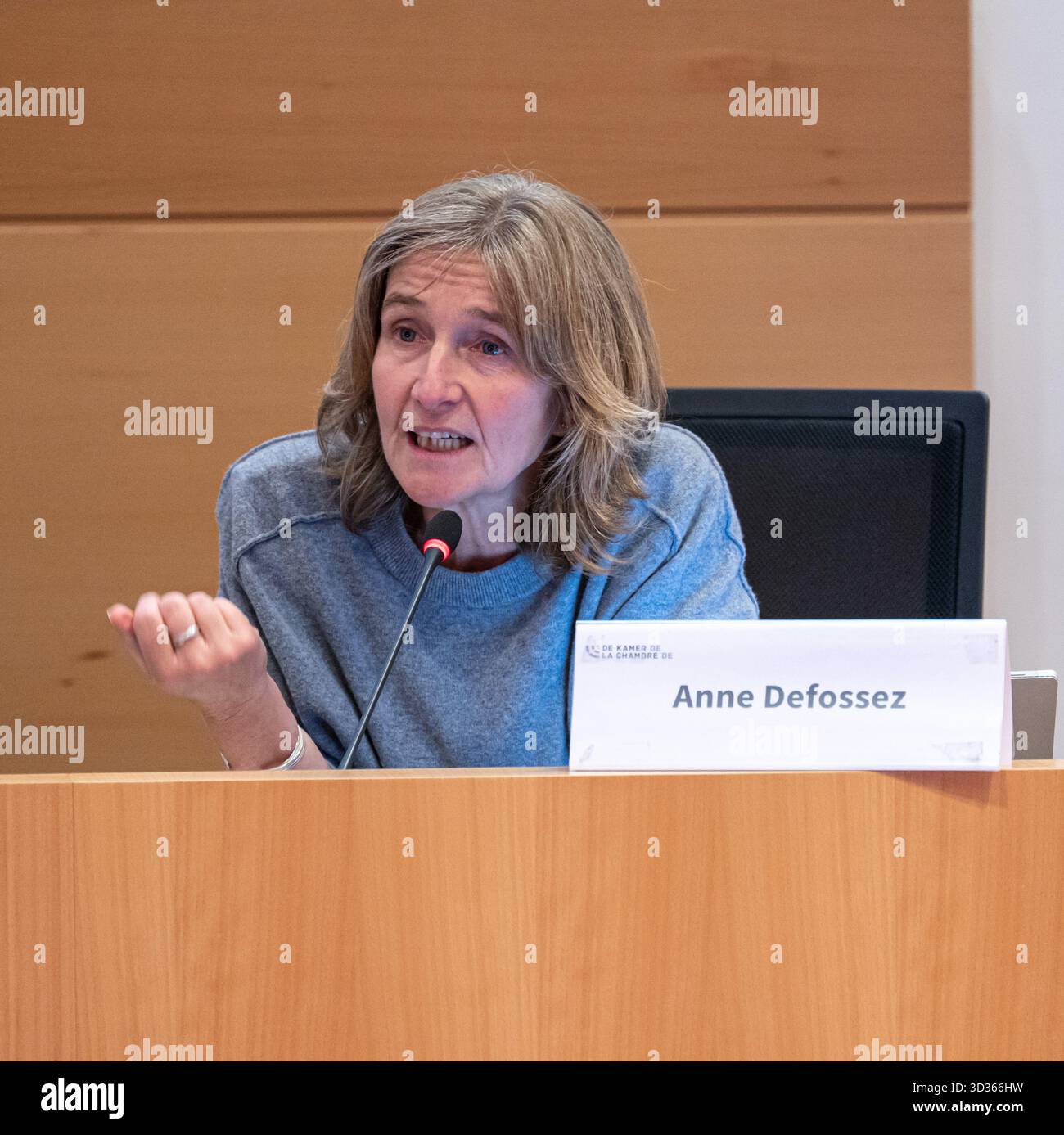 Anne Defossez, directrice du Centre d’Appui aux Services de médiation de dettes de la Région de Bruxelles-capitale partecipa alla sessione del Comitato K0 Foto Stock