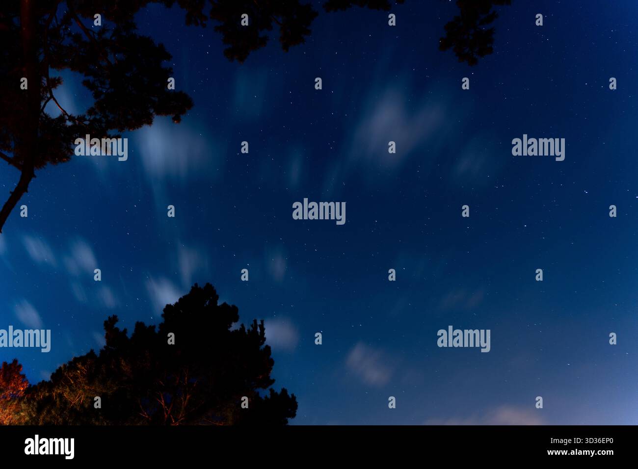 incantevole vista del cielo notturno con innumerevoli stelle e nuvole alla deriva. La silhouette delle cime degli alberi illuminate aggiunge profondità, creando un ambiente sereno e Foto Stock