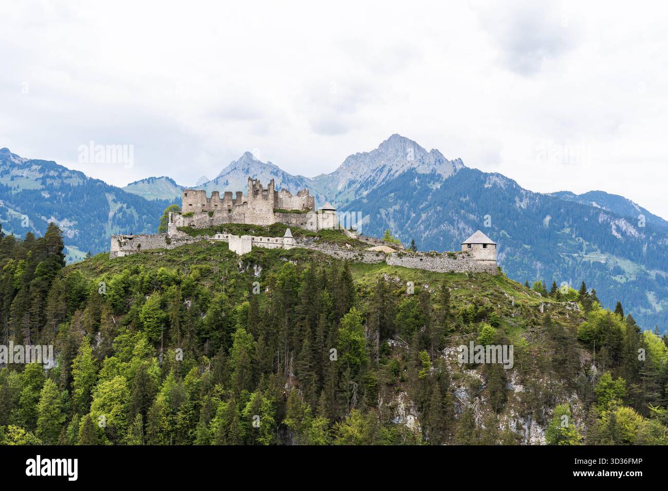 Il castello di Ehrenberg si trova in cima a scogliere boscose circondate dalle Alpi. Foto Stock