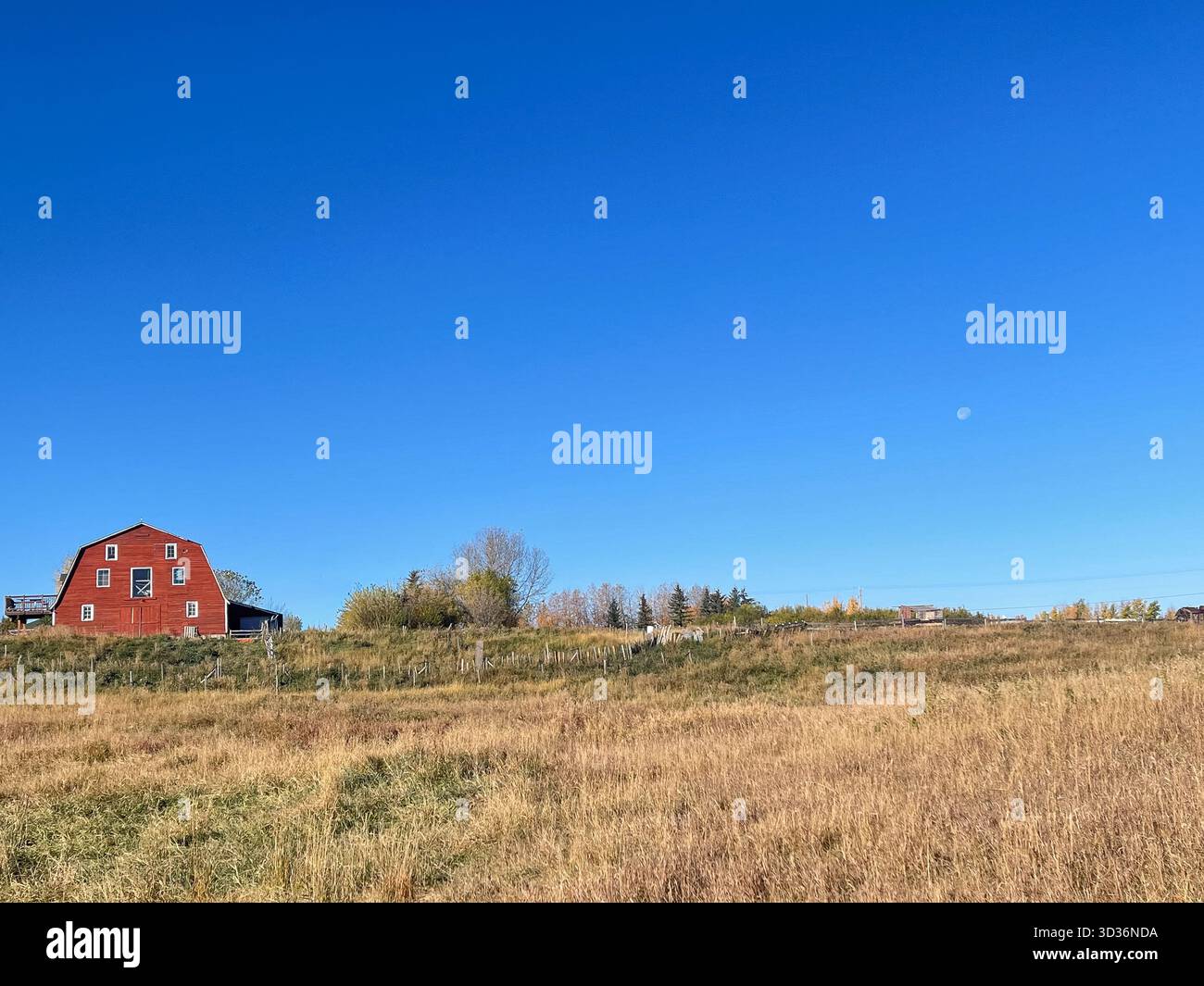 Un fienile rosso solitario si trova in un ampio campo rurale sotto un cielo blu brillante. Terreni agricoli, linee di recinzione e alberi sparsi creano una tranquilla e pastorale suita Foto Stock